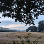 Nikis An Den Doerenther Klippen * Ibbenbüren