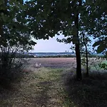 Nikis An Den Doerenther Klippen 公寓 Ibbenbüren