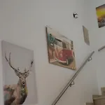 Nikis An Den Doerenther Klippen