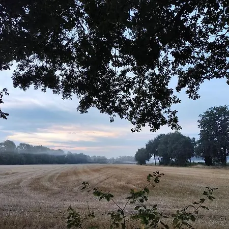 Nikis An Den Doerenther Klippen * Ibbenbüren