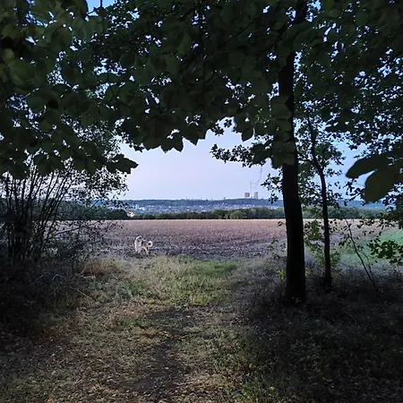 Nikis An Den Doerenther Klippen Lejlighed Ibbenbüren
