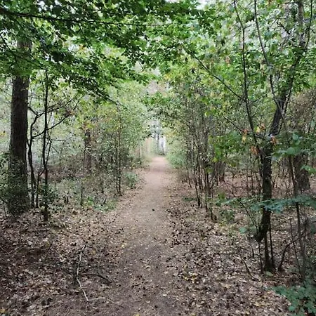 Tolle An Den Doerenther Klippen Ibbenbüren