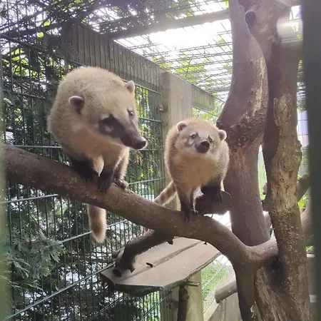 Nikis An Den Doerenther Klippen Apartman *