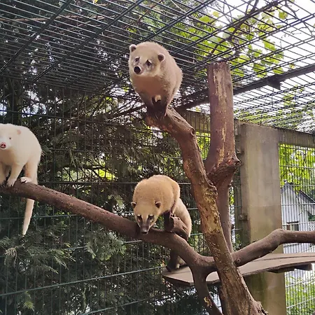 Nikis An Den Doerenther Klippen * Ibbenbüren