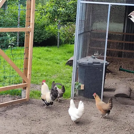 Apartmán Nikis An Den Doerenther Klippen