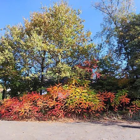 Nikis An Den Doerenther Klippen Apartmán *