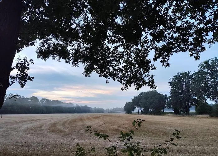 Nikis An Den Doerenther Klippen * Ibbenbüren