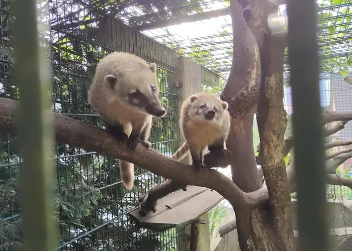 Nikis An Den Doerenther Klippen Appartement *