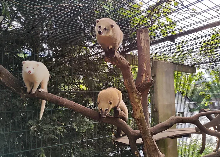 Nikis An Den Doerenther Klippen * Ibbenbüren