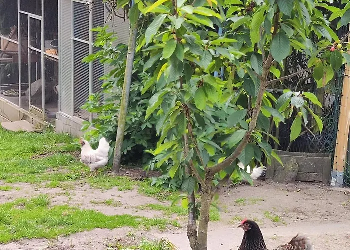 Appartement Nikis An Den Doerenther Klippen