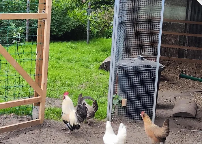 Appartement Nikis An Den Doerenther Klippen